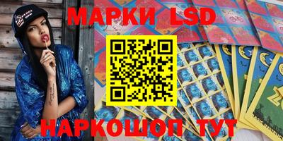 амф Гатчина