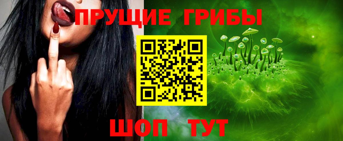 Псилоцибиновые грибы ЛСД Новоалтайск