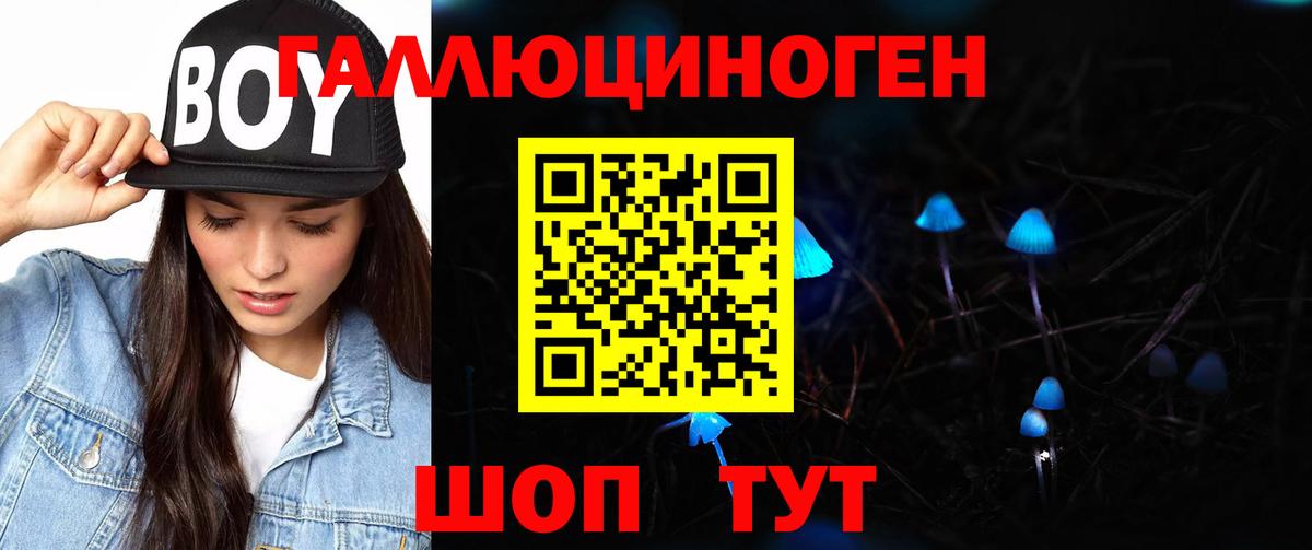 Галлюциногенные грибы ЛСД  Галлюциногенные грибы MAGIC MUSHROOMS  где можно купить наркотик  Новоалтайск  Вход с VPN 